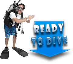 diving