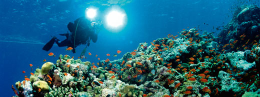grand resort hurghada