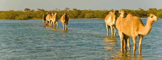 Marsa Alam