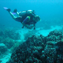 diving