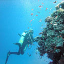 diving