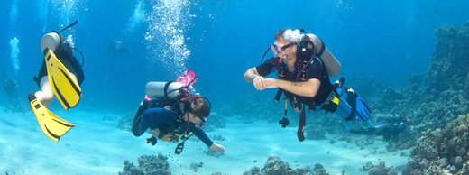 Red Sea Holiday